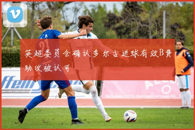 英超委员会确认多尔古进球有效B费助攻被认可