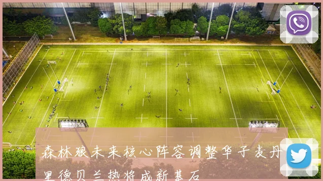 森林狼未来核心阵容调整华子麦丹里德贝兰热将成新基石