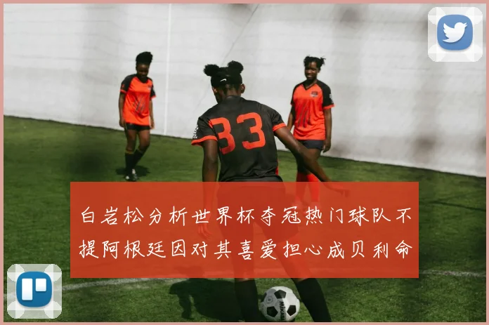 白岩松分析世界杯夺冠热门球队不提阿根廷因对其喜爱担心成贝利命运