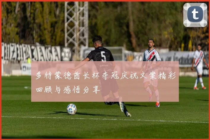 多特蒙德酋长杯夺冠庆祝文案精彩回顾与感悟分享